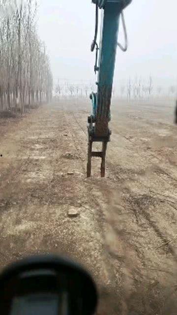 挖树墩视频,一场生态与劳动的视觉盛宴