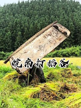 搭排山视频,揭秘高空作业的惊险与挑战