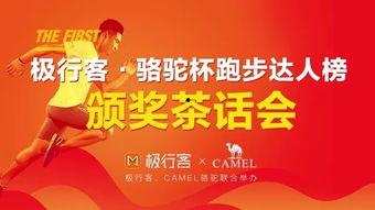 骆驼杯视频,激情四溢的竞技盛宴