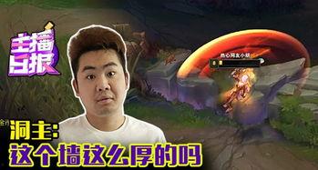 木木的视频,探索生活之美,感受时光流转