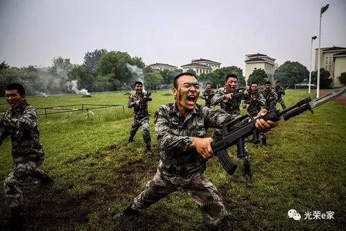 倒功前扑视频,揭秘武术高手瞬间变身技巧